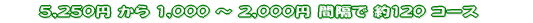 5,250~  1,000 ` 2,000~ Ԋu 120 R[X